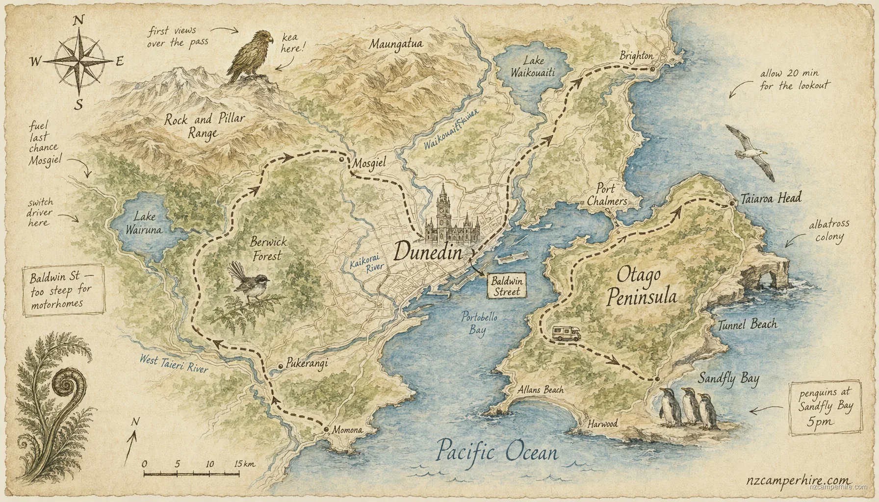 Hand-drawn map of Dunedin on South Island, NZ