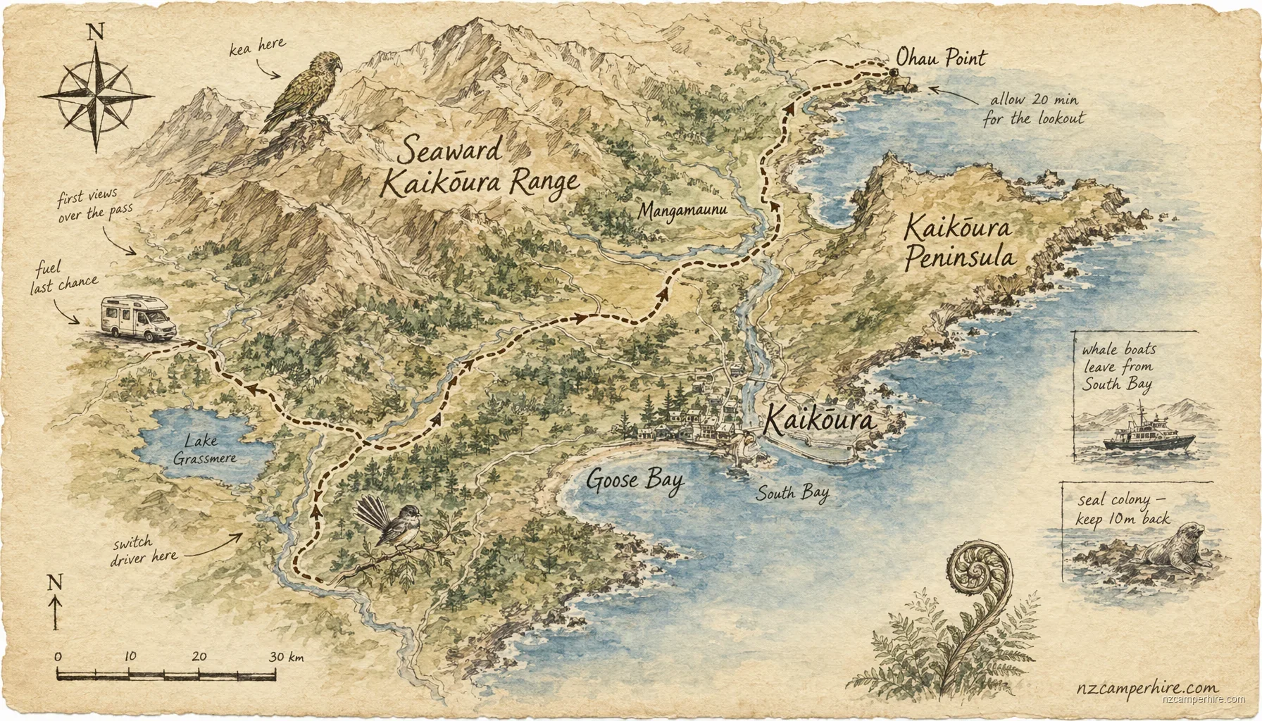 Hand-drawn map of Kaikoura on South Island, NZ