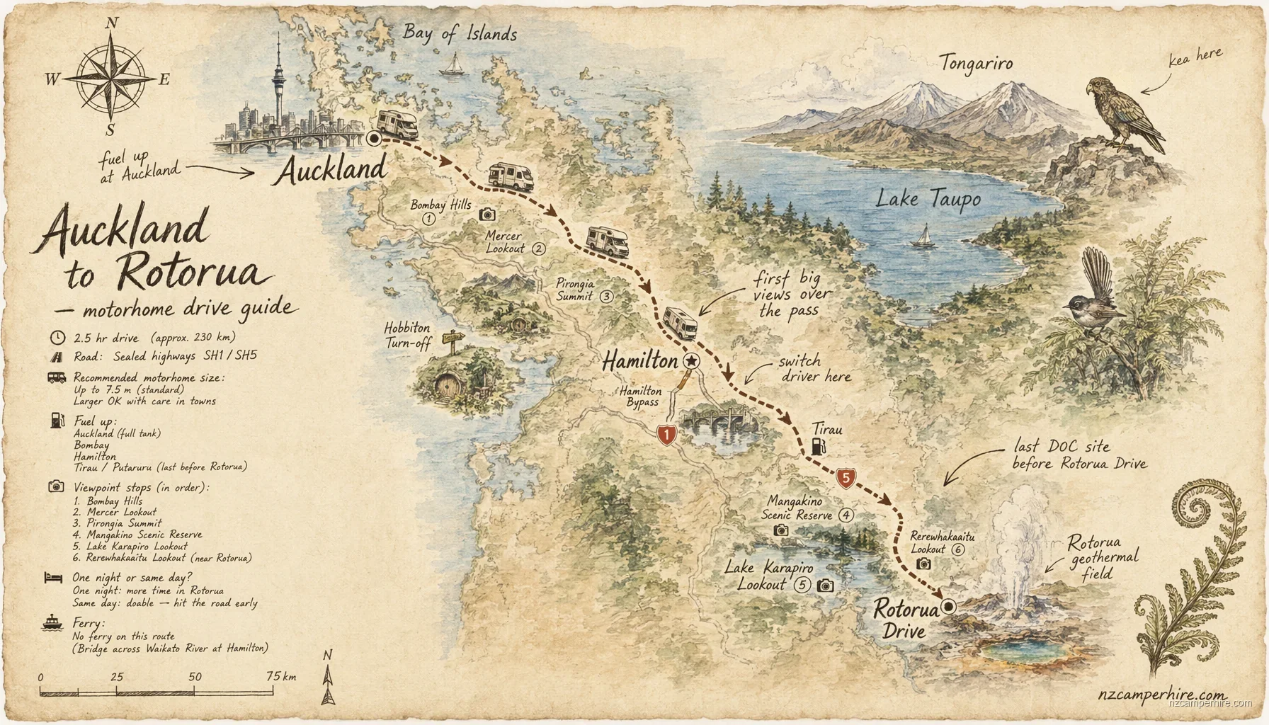 Hand-drawn map of the Auckland to Rotorua — motorhome drive guide route from Auckland to Rotorua Drive