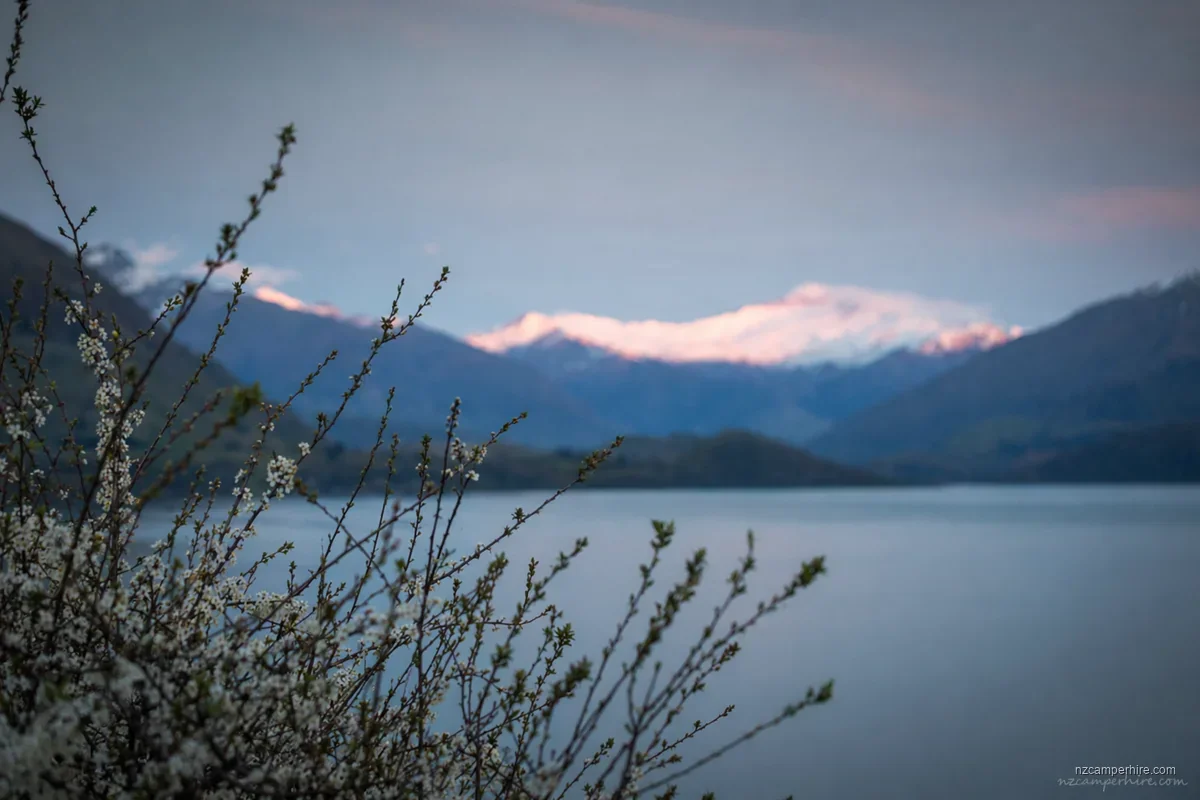 A quiet moment in Nelson